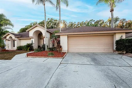 TARPON SPRINGS FL Home