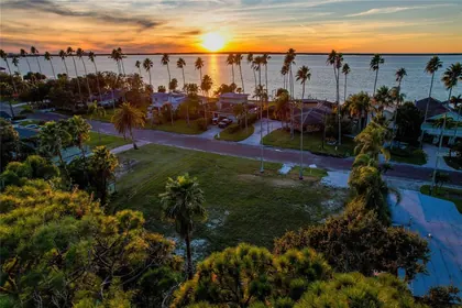 DUNEDIN FL Property