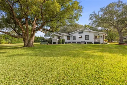 DUNEDIN FL Property
