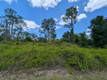 LAKE PLACID FL Property