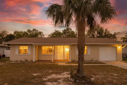 SPRING HILL FL Home