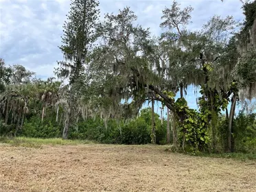 PALMETTO FL Property