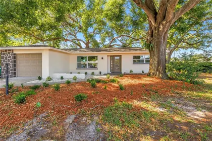 CLEARWATER FL Home