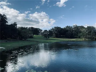 UMATILLA FL Property