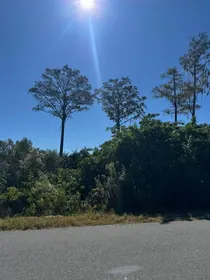 PALM BAY FL Property