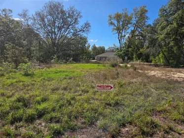OCKLAWAHA FL Property