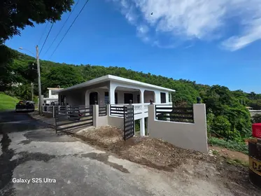 PATILLAS PR Home