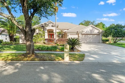 TAMPA FL Home