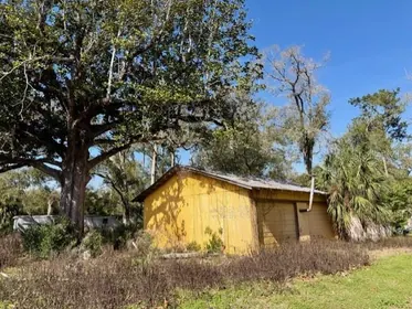 BELL FL Property