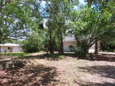CRYSTAL BEACH FL Property