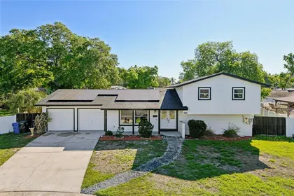 TAMPA FL Home