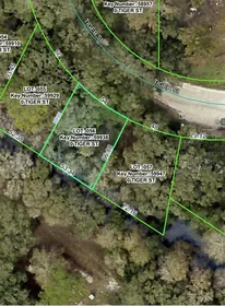 DADE CITY FL Property