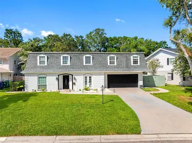 TAMPA FL Home