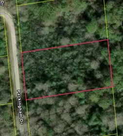 WEBSTER FL Property