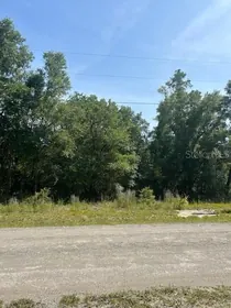 CRYSTAL RIVER FL Property