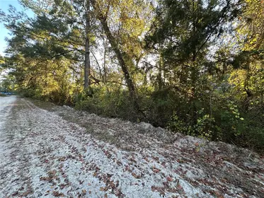 OLD TOWN FL Property
