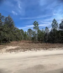 MORRISTON FL Property