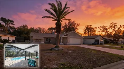 SPRING HILL FL Home