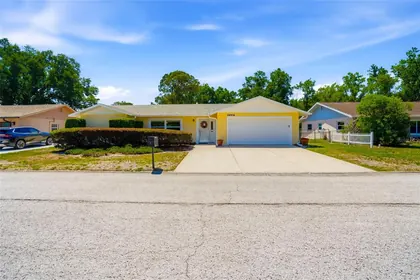LUTZ FL Home
