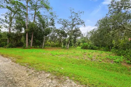 WEBSTER FL Property