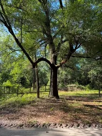 DUNNELLON FL Property
