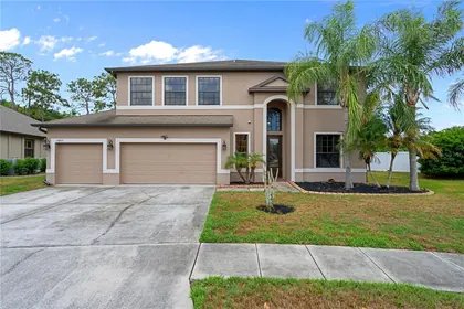 LAND O LAKES FL Home