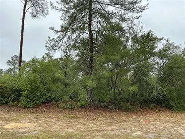 OCALA FL Property