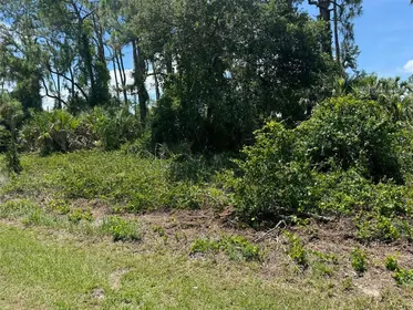 OCALA FL Property
