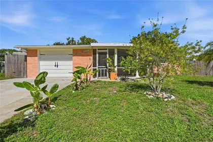 HOLIDAY FL Home