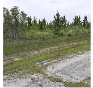 INDIAN LAKE ESTATES FL Property