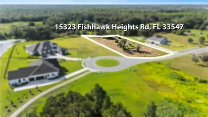 LITHIA FL Property