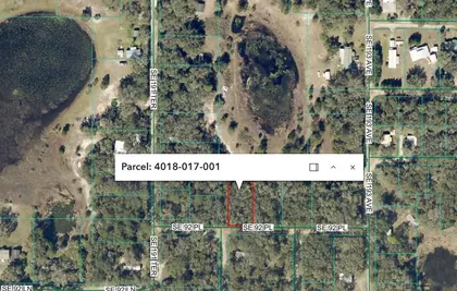 OCKLAWAHA FL Property