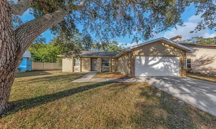 PALM HARBOR FL Home