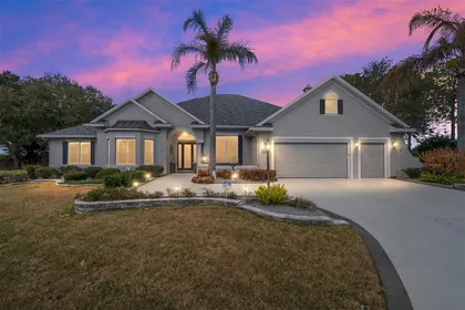 THE VILLAGES FL Home
