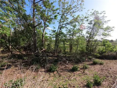 GROVELAND FL Property