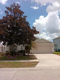 WESLEY CHAPEL FL Home
