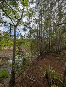 EUSTIS FL Property
