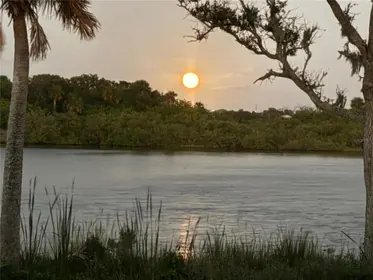 FLAGLER BEACH FL Property