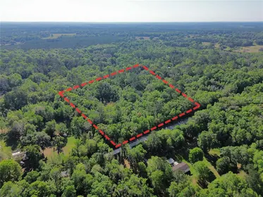 WILLISTON FL Property