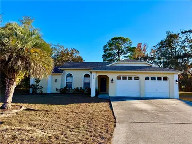 SPRING HILL FL Home