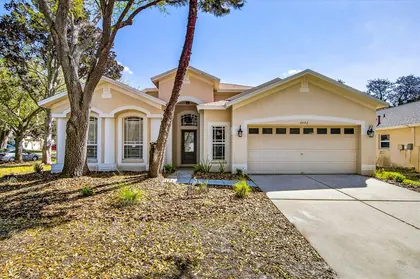 LITHIA FL Home