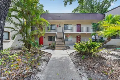 TEMPLE TERRACE FL Home