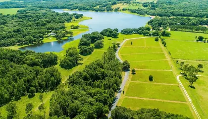 DADE CITY FL Property