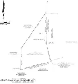 SPRING HILL FL Property