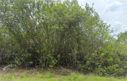LAKE PLACID FL Property