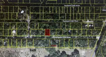 FORT MC COY FL Property