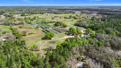 ST CLOUD FL Property