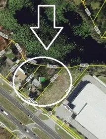 LAND O LAKES FL Property
