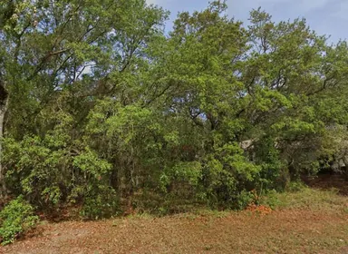 HOMOSASSA FL Property