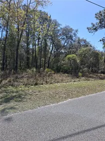 WEEKI WACHEE FL Property